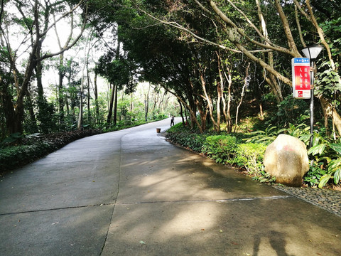 深圳笔架山公园风景