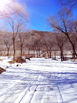 雪景