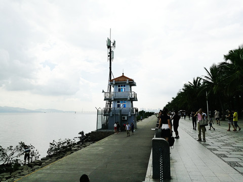 福田深圳湾滨海生态公园风景