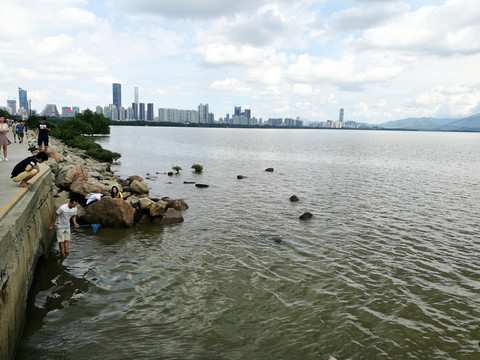 深圳湾滨海生态公园