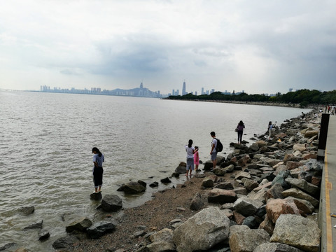 深圳湾滨海生态公园