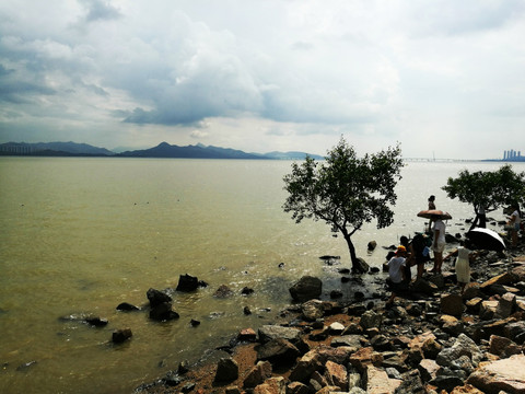 深圳湾公园海景区