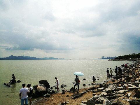 深圳滨海公园海景