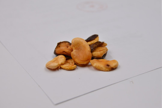 高清五香蚕豆照片