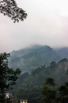 高山