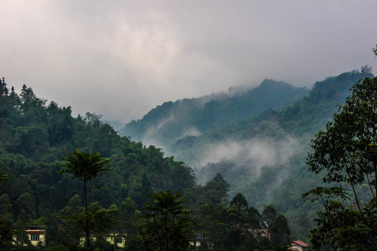 高山