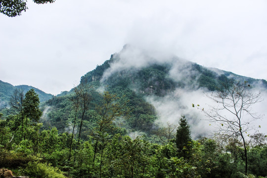 高山