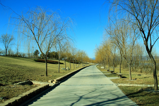 公园道路