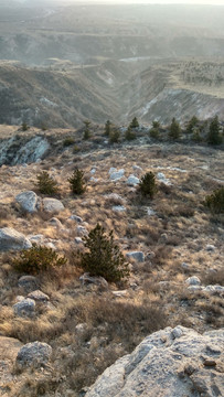 山石，沟壑