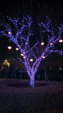 树灯，节日灯饰