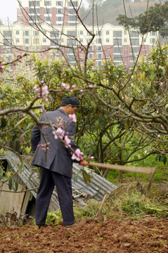 田园风光 春天种菜锄地