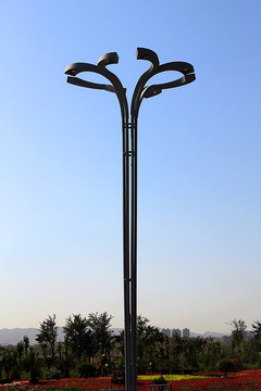 新疆国际会展中心 路灯