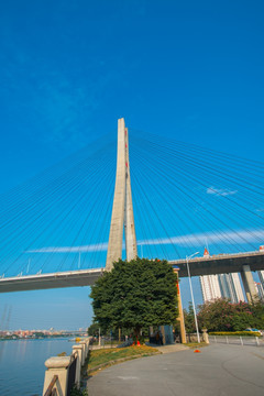 东沙大桥
