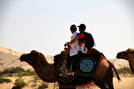 新疆 中哈边境 骑骆驼的游人