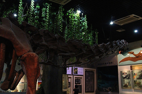 恐龙骨骼化石