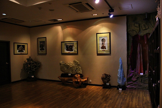 新疆 地质地矿博物馆 展厅