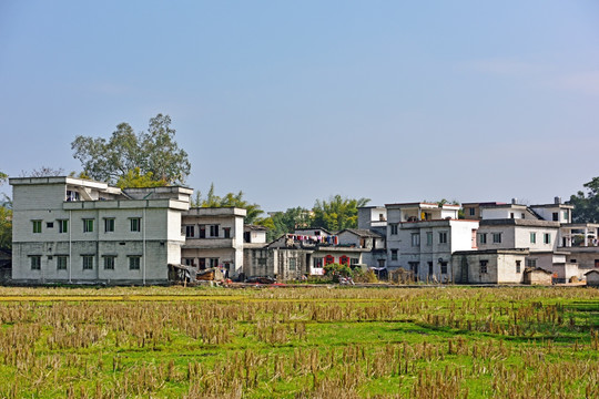 新农村