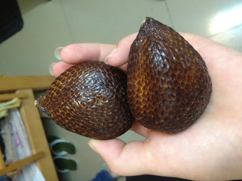 蛇皮果