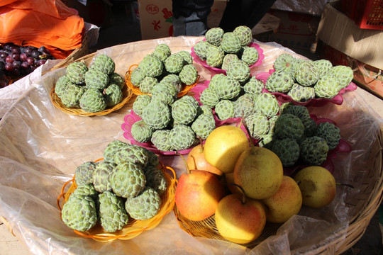 释迦佛头果番荔枝