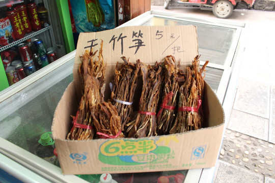 干竹笋