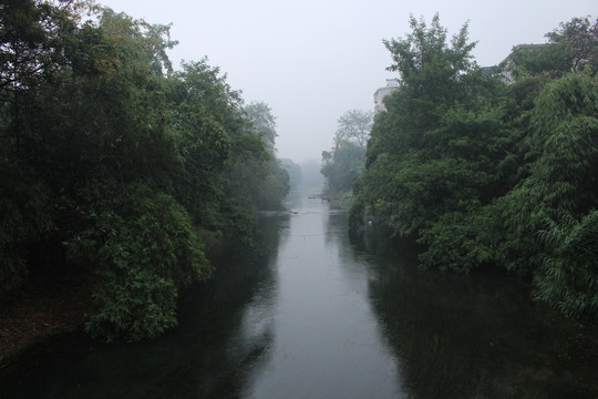 河俩岸绿树成荫