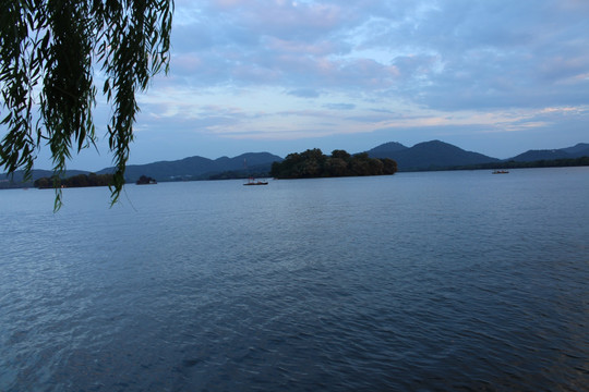 湖边垂柳
