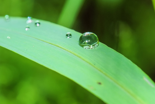 水珠