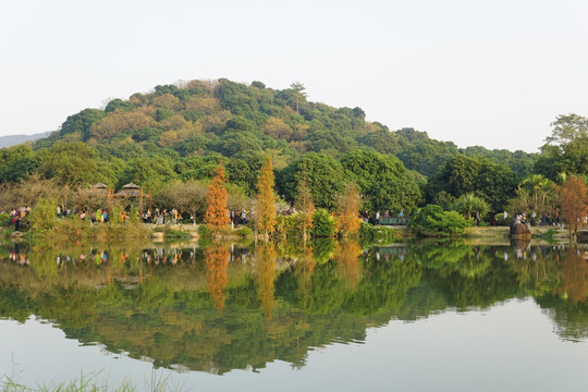 香雪公园湖景