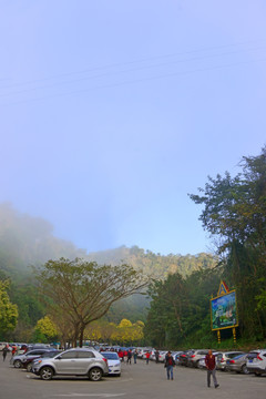 西双版纳野象谷 景区停车场