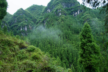 山中雾气