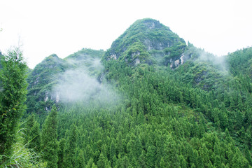青山云雾