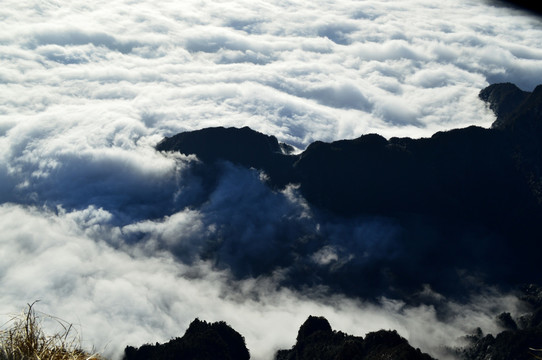 峨眉山 云海