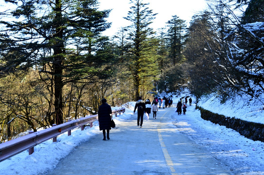 峨眉山 雪景