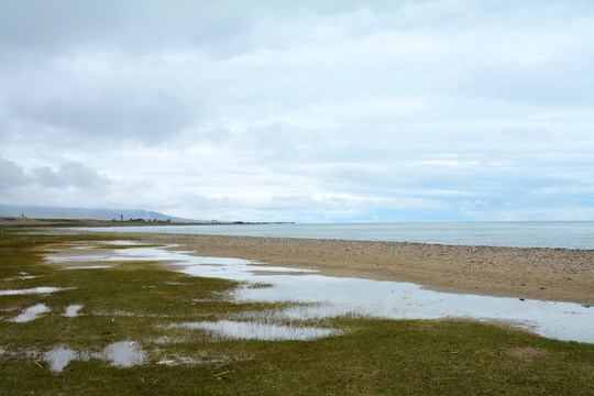 青海沼泽