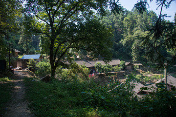 农村村头素材