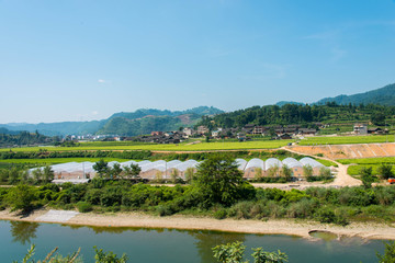 龙江河田园