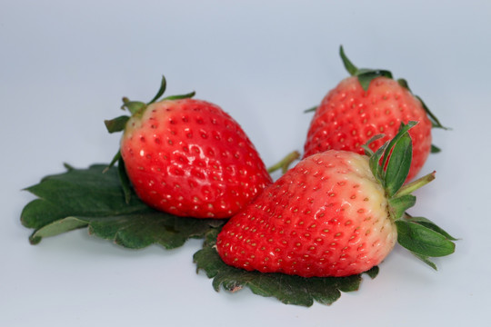 草莓 草莓素材
