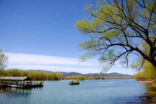 昆明湖的自然景色