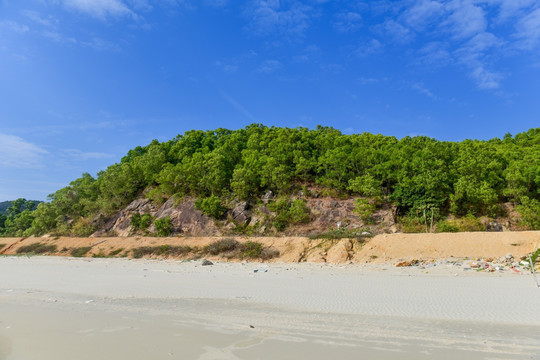 海滩树木蓝天