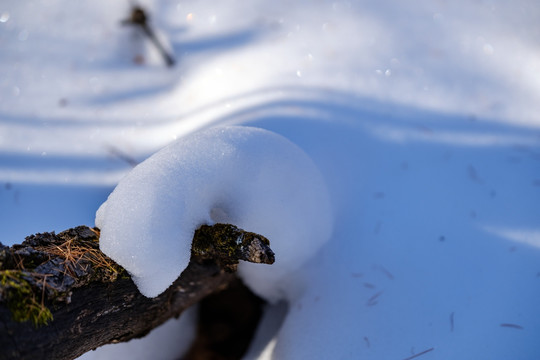 冬雪