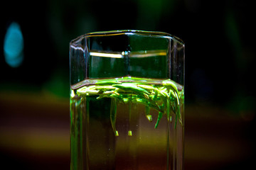 绿茶特写