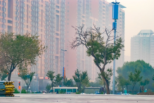 奥运村街景