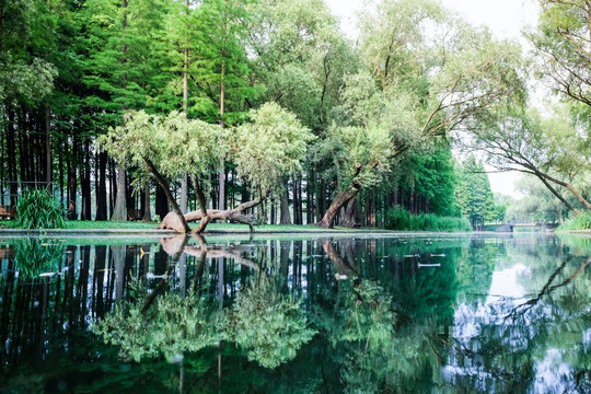 湖边风景