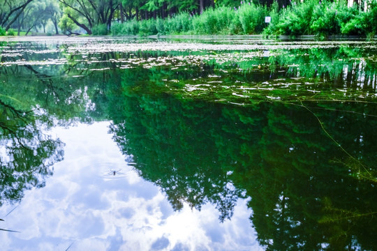 湖边风景