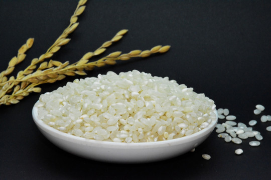 稻谷稻子米粒