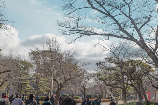 大阪城公园风景