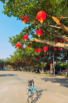 大红灯彩 节日气氛 新春景象