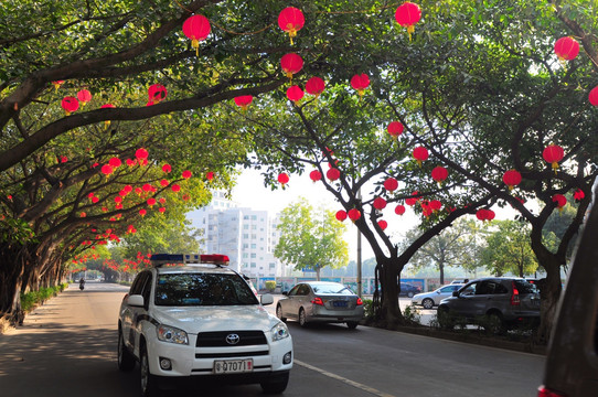 大红灯彩 节日气氛 新春景象