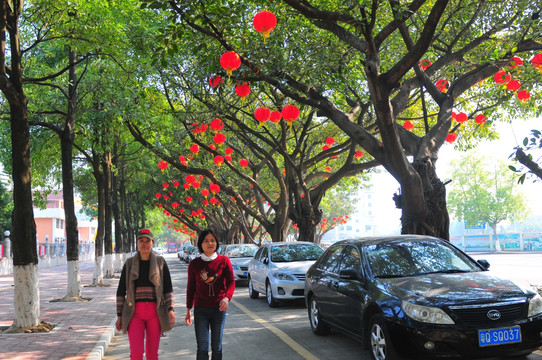 大红灯彩 节日气氛 新春景象