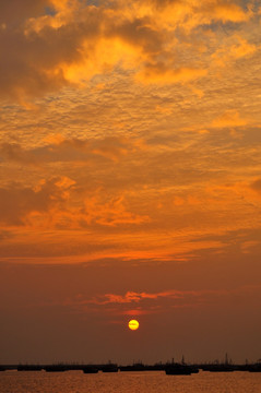 海上日出 晨曦 红太阳 海洋